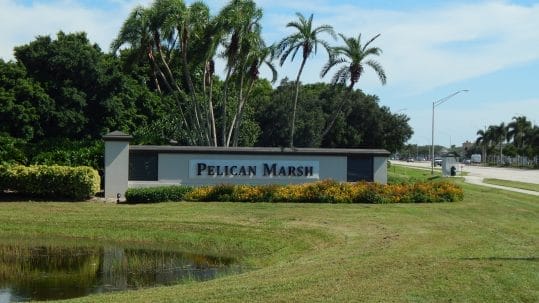 Are you in the market for a custom closet company near Pelican Marsh? Look no further than Gulfshore Closets, your go-to source for all your organizational storage needs in Naples, Florida. Our team of professional certified storage systems organizers, designers, suppliers, and white-glove installers are committed to excellence in every aspect of our work.
